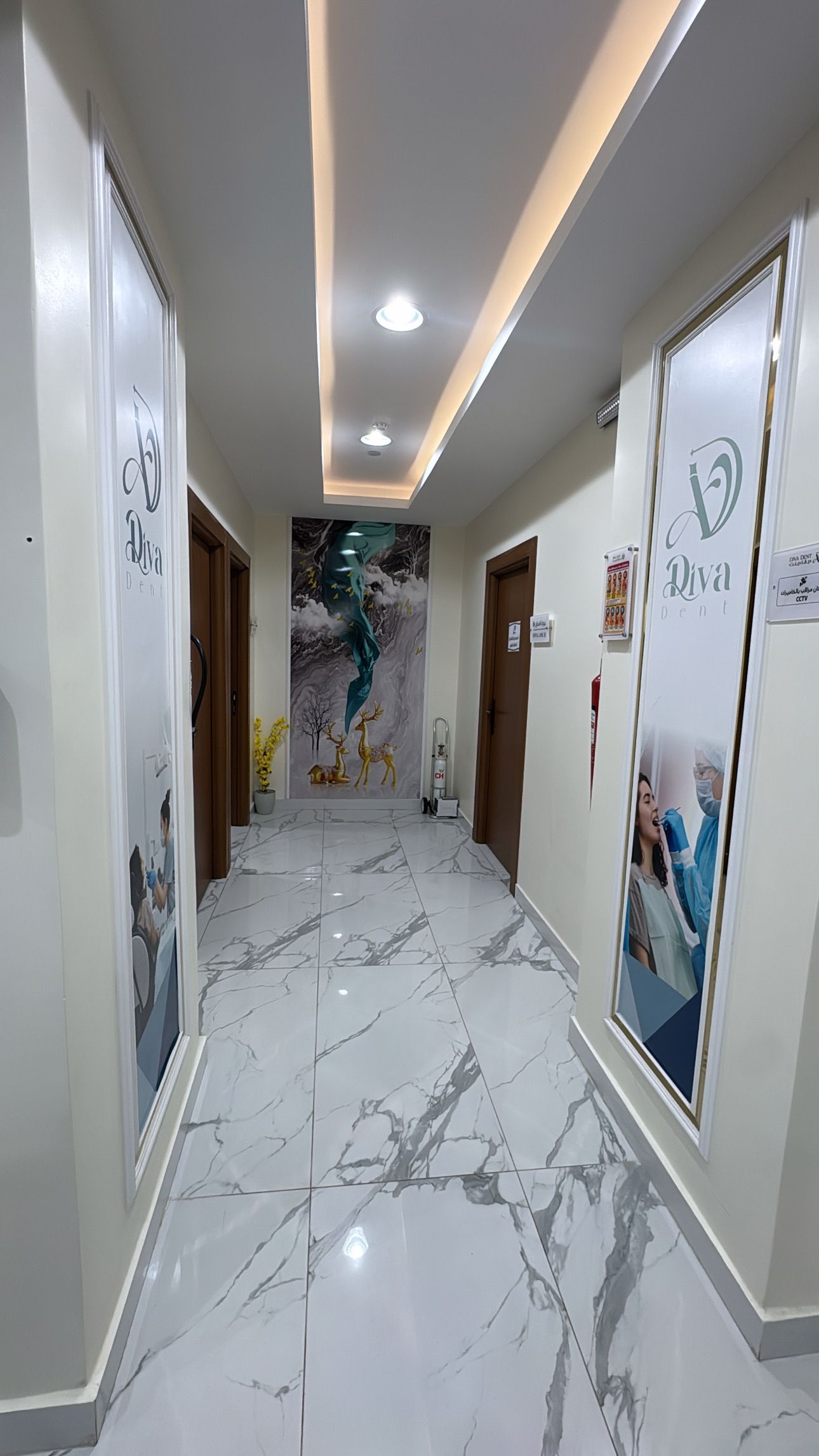 منظر الريسبشن الداخلي